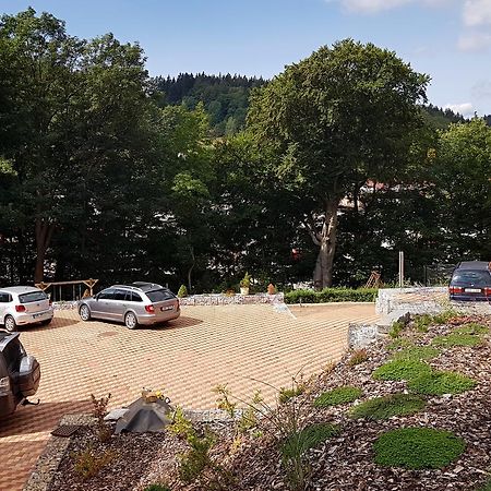 Apartments Kalyn Svoboda nad Úpou Dış mekan fotoğraf